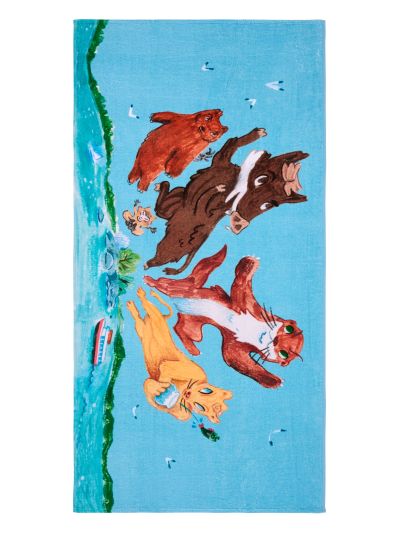 Finlayson Sankarit pyyhe Monivärinen