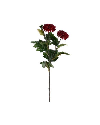 Newport Krysanteemi leikkokukka viininpunainen