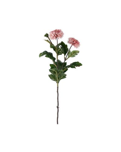 Newport Chrysanthemum snittblomma rosa 53cm