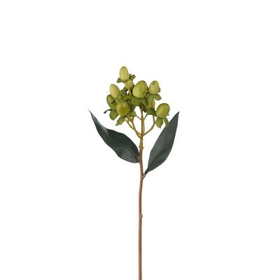 Mr Plant, Hypericum-marjan oksa 28 cm vihreä