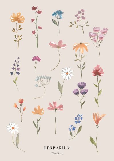 Kaverini Herbarium juliste 50x70 cm