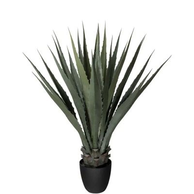 Mr Plant, Agave Green 100 cm