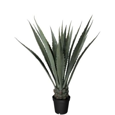 Mr Plant, Agave Green 120 cm