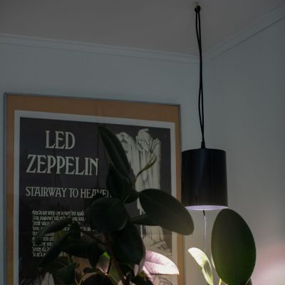 Airam Fiora LED kasvivalaisin musta