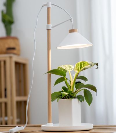 Airam Lily LED kasvivalaisin valkoinen/puu