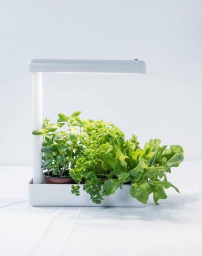 Airam Herby LED kasvivalaisin valkoinen