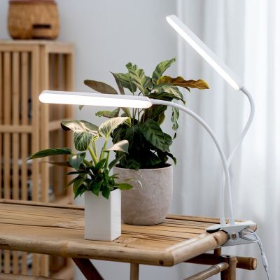 Airam Tulip LED kasvivalaisin valkoinen