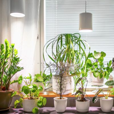 Airam Fiora LED kasvivalaisin valkoinen