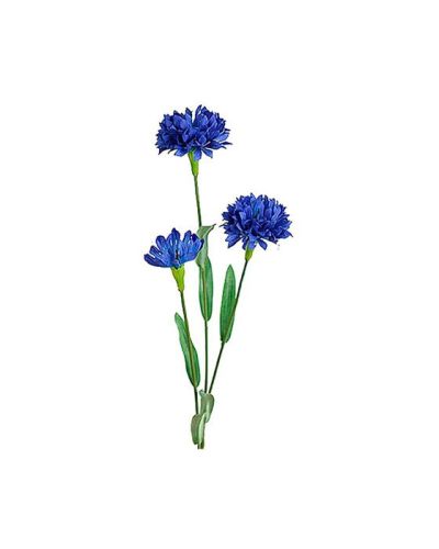 Newport Ruiskaunokki leikkokukka sininen