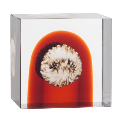 Iittala Iittala vuosikuutio 2026