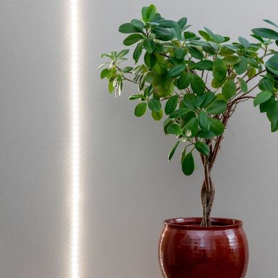 Airam LED kasvivalonauha 2 m | Alk. 31,95 €