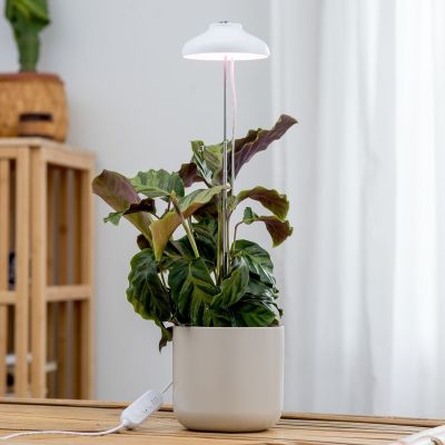 Airam Iris LED kasvivalaisin valkoinen