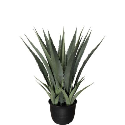 Mr Plant, Agave Green 100 cm