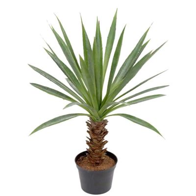 Mr Plant, Agave Green 44 cm