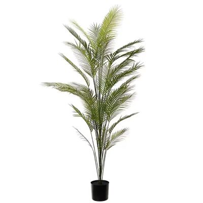 Mr Plant, Vuoripalmu vihreä ruukkukasvi 210 cm