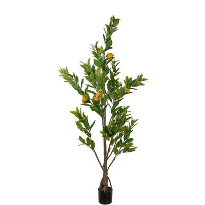 Mr Plant, Sitruunapuu Vihreä 180 cm