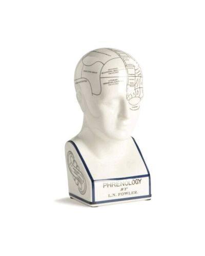 Authentic Models Phrenology head koriste