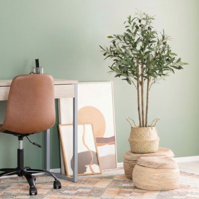 4Living Oliivipuu ruukussa 90 cm