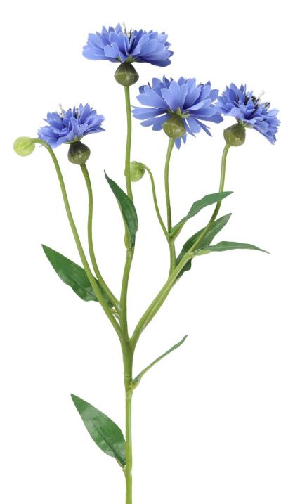 4Living Ruiskukka oksa 61,5 cm