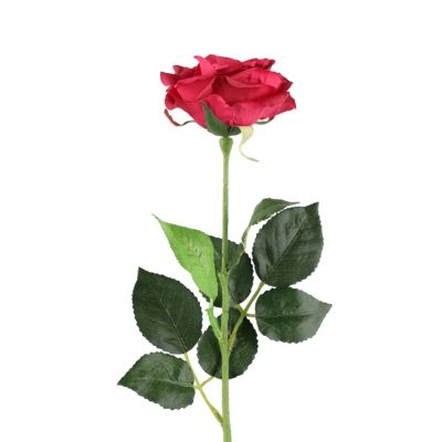 4Living Ruusu viininpunainen