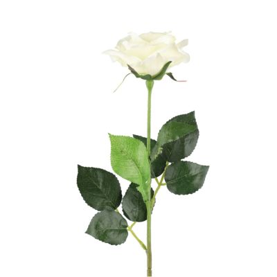 4Living Ruusu valkoinen