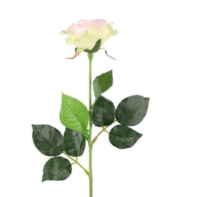 4Living Ruusu pinkki