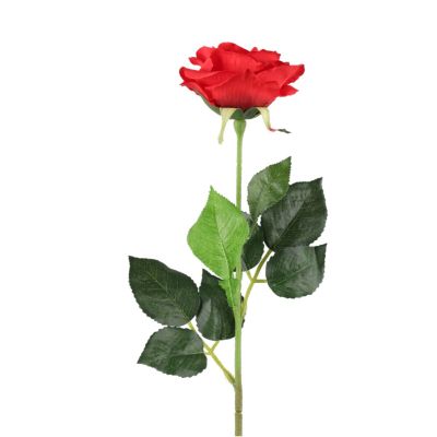 4Living Ruusu punainen