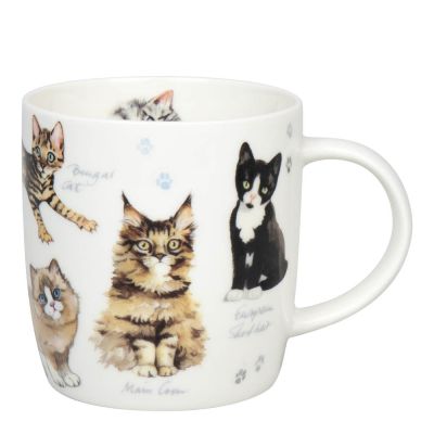 Könitz - Muki 40 cl Cats