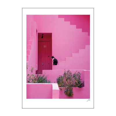 Poster & Frame - FLIP Juliste 50x70 cm Pink panther