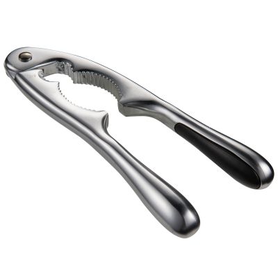 Modern House - Basis Pähkinänsärkijä