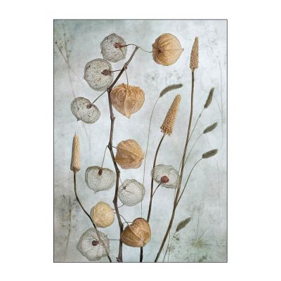 Poster & Frame - Mandy Disher Juliste 50x70 cm Lanterns