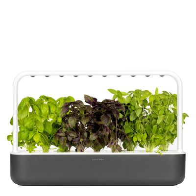 Click & Grow - Smart Garden 9 Aloituspakkaus Tummanharmaa
