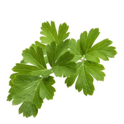 Click & Grow - Smart Garden Täyttöpakkaus 3 kpl Persilja