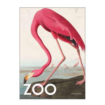 Poster & Frame - A.P. Atelier Juliste 50x70 cm The zoo collection pink flamingo edt. 002