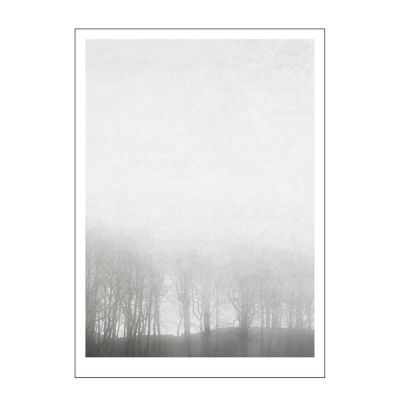 Poster & Frame - Ingrey Studio Juliste 50x70 cm Morning fog