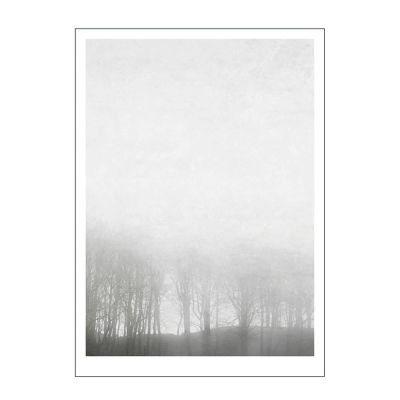 Poster & Frame - Ingrey Studio Juliste 30x40 cm Morning fog