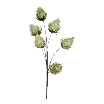 Lene Bjerre - Happia Koriskekukka 85 cm Vihreä