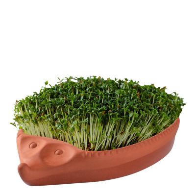 Römertopf - Idätysruukku 25x16 cm