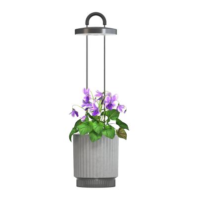 Click & Grow - Click & Grow x HydroVase LED Kasvivalaisin Harmaa