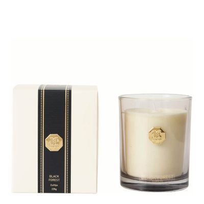 Holmen - Treviso Tuoksukynttilä Black Forest 8,5x10,5 cm Valkoinen