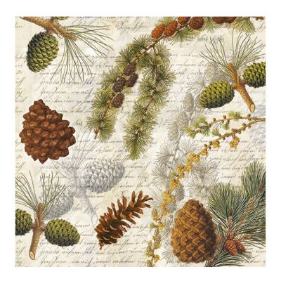 Ambiente - Servetti 33x33 cm 20 kpl Life in Forest