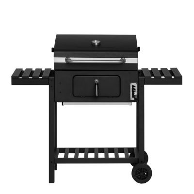 Mustang - Avalon Hiiligrilli 3