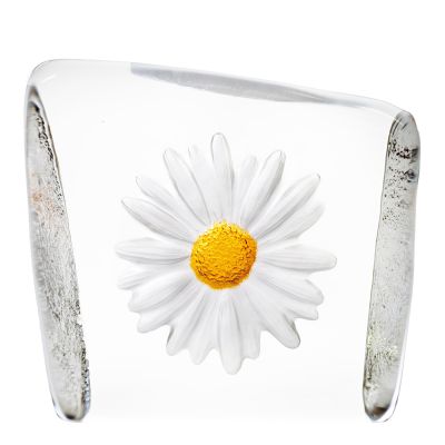 Målerås - Floral Fantasy Päivänkakkara Lasiveistos 9 cm Valkoinen