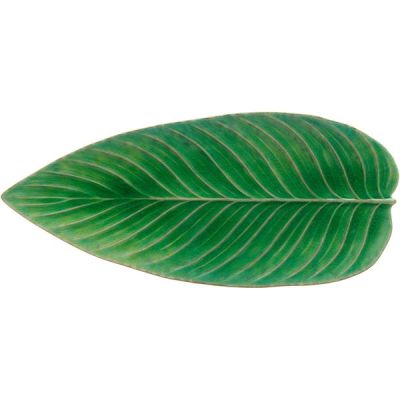 Costa Nova - Riviera Tarjoiluastia vihreä 40x17 cm Vihreä/Musta