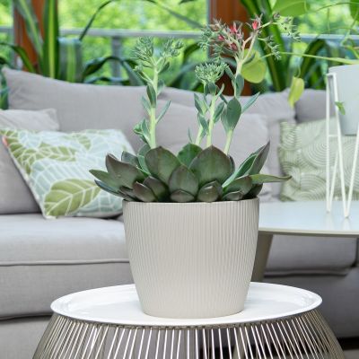 4Living Magnolia Jumper ruukku 19 cm beige