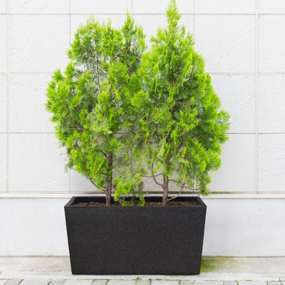 4Living Patio termoruukku 76 cm musta