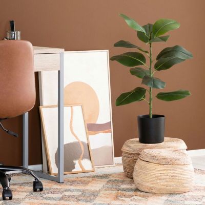 4Living Huonekumipuu ruukussa 70 cm