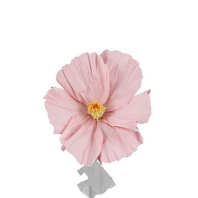 Mr Plant, Kukka Lykke Pink