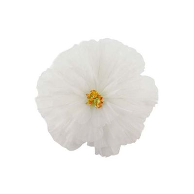 Mr Plant, Kukka Daisy seinä White