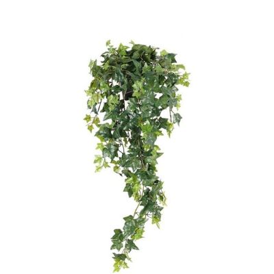 Mr Plant, Muratti Vihreä 22 cm